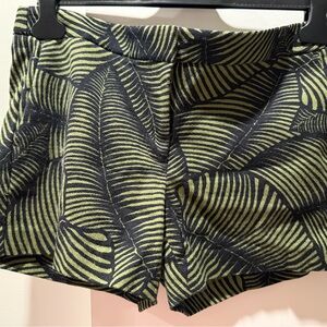 Ann Taylor Black and Green High Waist Women's Shorts